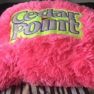 Cedar point pillow